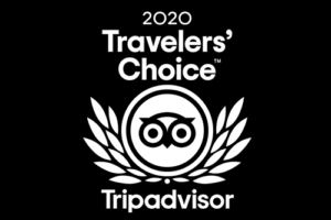 Partners icon
